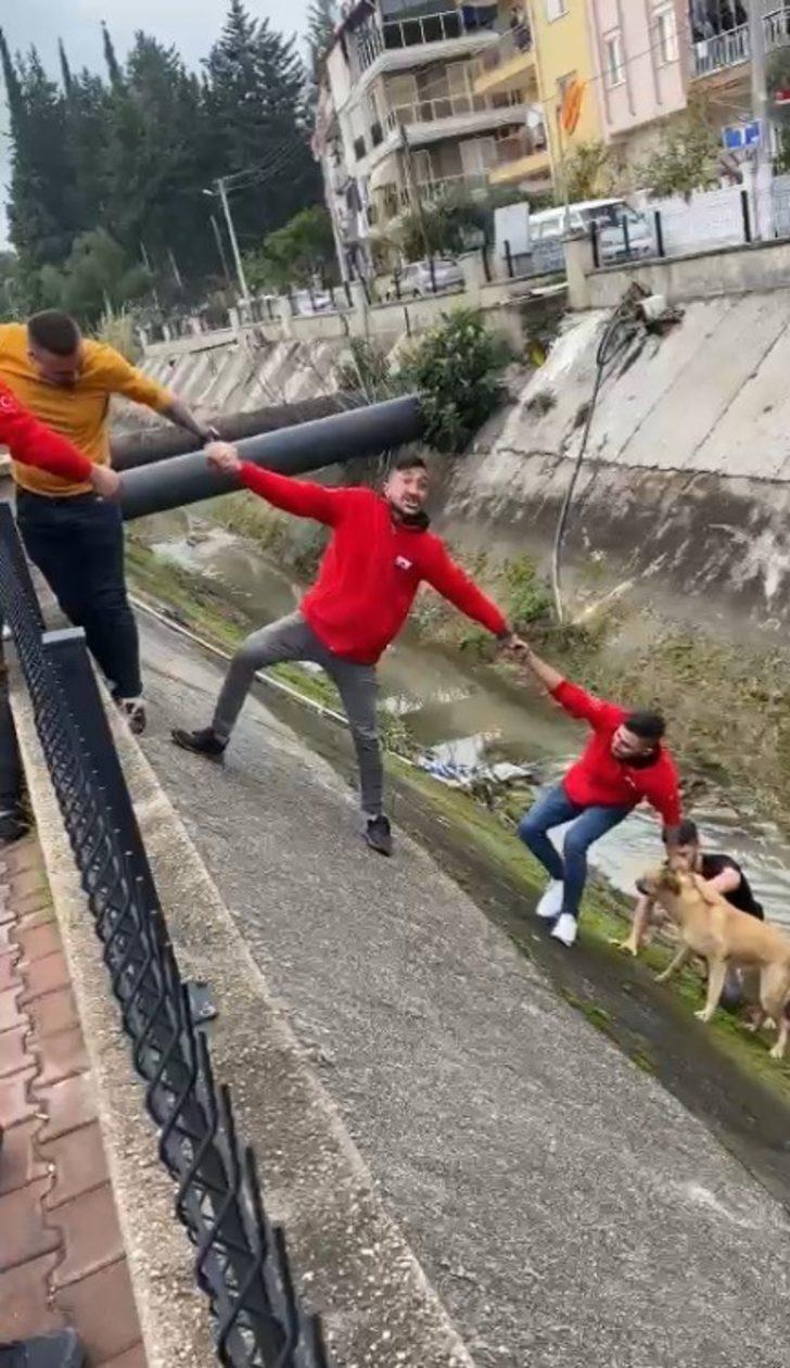 Su kanalına düşen köpek insan zinciriyle kurtarıldı G4