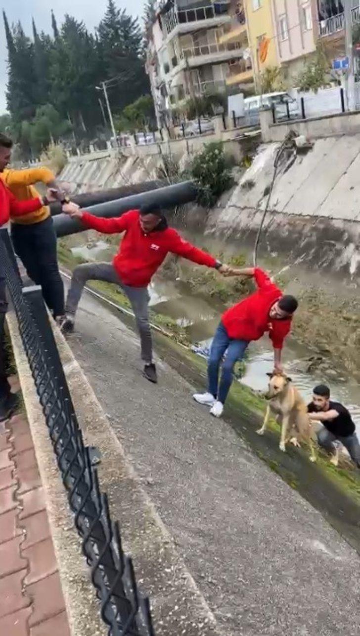 Su kanalına düşen köpek insan zinciriyle kurtarıldı G5