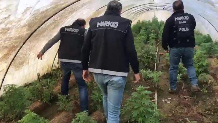 İzmir’de uyuşturucu operasyonu: 663 kök Hint keneviri ele geçirildi G2