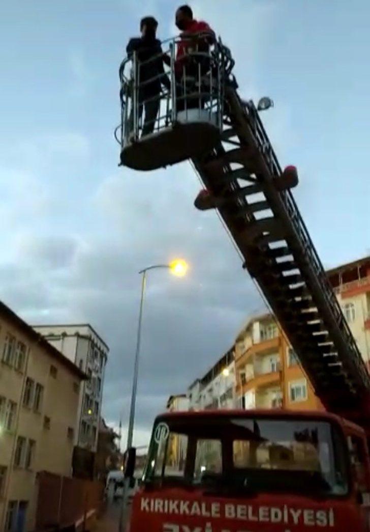 Çatıda mahsur kalan gencin imdadına itfaiye yetişti G5