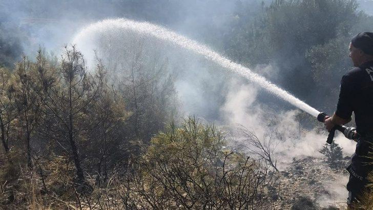 Manavgat’ta kırsal alan yangını G1