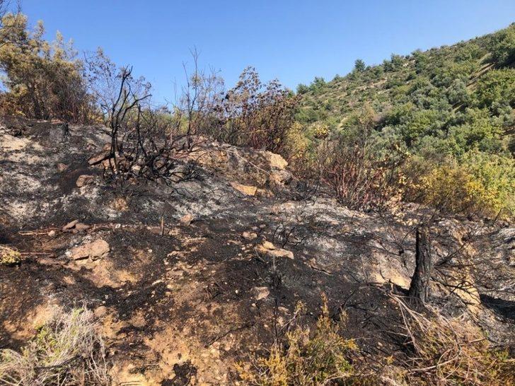 Manavgat’ta kırsal alan yangını G2