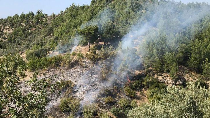 Manavgat’ta kırsal alan yangını G3