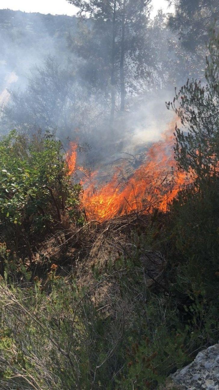 Manavgat’ta kırsal alan yangını G4