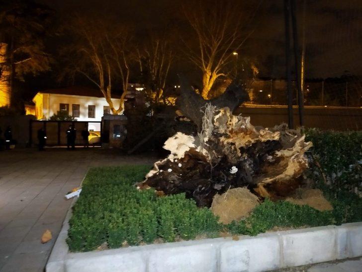 TFF bahçesindeki çınar ağacı şiddetli rüzgara dayanamayarak devrildi G3