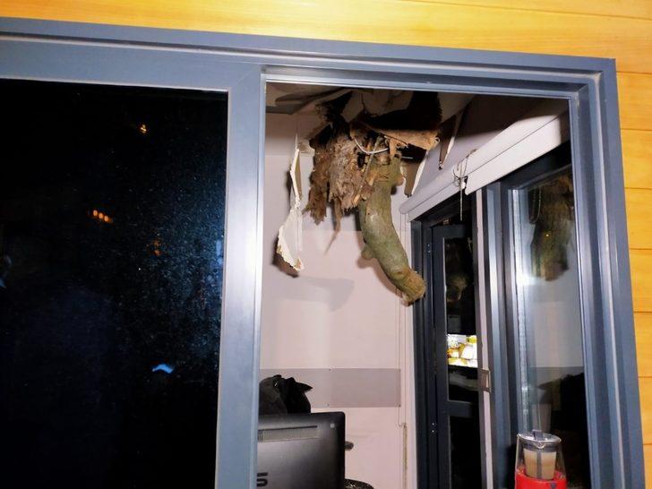 TFF bahçesindeki çınar ağacı şiddetli rüzgara dayanamayarak devrildi G4