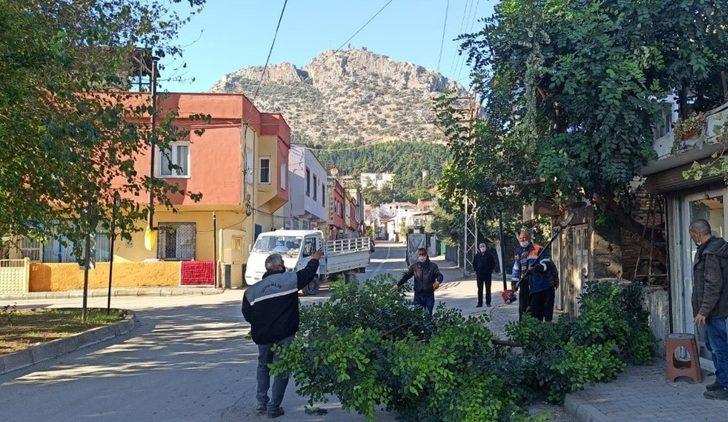 Kozan’da yol kenarlarındaki ağaçlar budanıyor G2