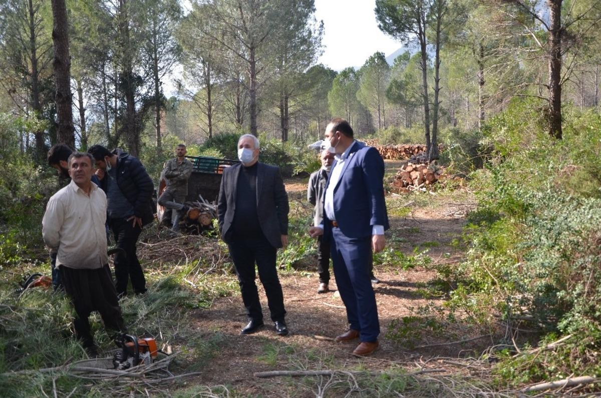 Fıstık &ccedil;amları ekonomiye kazandırılacak