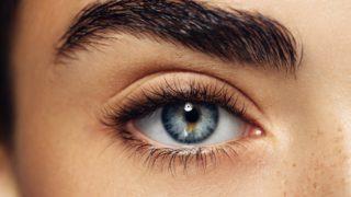 Ağda yok, cımbız yok! Haftalar sonra kaşları kalınlaştıran ve dolgunlaştıran formül... 