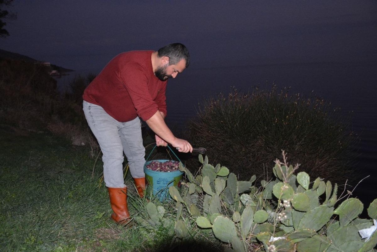 Sinop&rsquo;ta &rsquo;kaynana dili&rsquo; gelir kapısı oldu