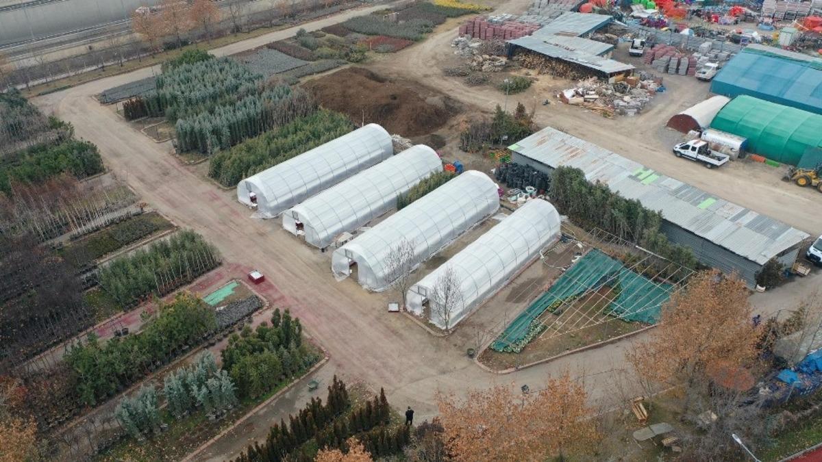 Mamak&rsquo;ı s&uuml;sleyecek &ccedil;i&ccedil;ekler seralarda yetişecek