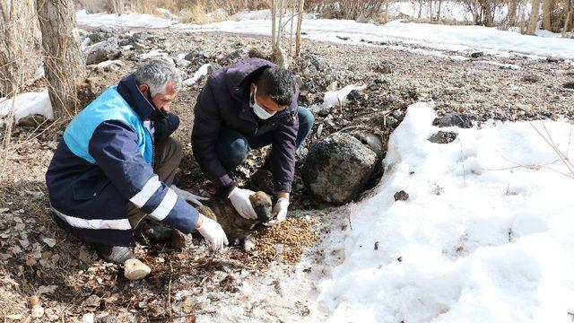 Boru içerisinde sıkışan yavru köpekler kurtarıldı