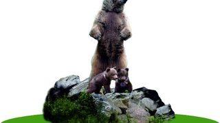 Bolu'da yapılması planlanan 10 metrelik bozayı heykeli şehri ikiye böldü