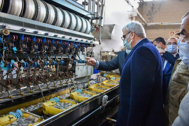 Diyarbakır Valisi Münir Karaloğlu: "Amacımız Kulp ilçesinde ipekçiliği geliştirmek" G1