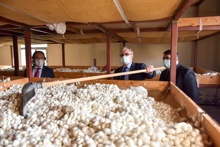 Diyarbakır Valisi Münir Karaloğlu: "Amacımız Kulp ilçesinde ipekçiliği geliştirmek" G3