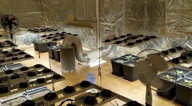 Evin odasını uyuşturucu serasına çevirmişler G2