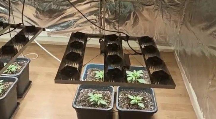 Evin odasını uyuşturucu serasına çevirmişler G3