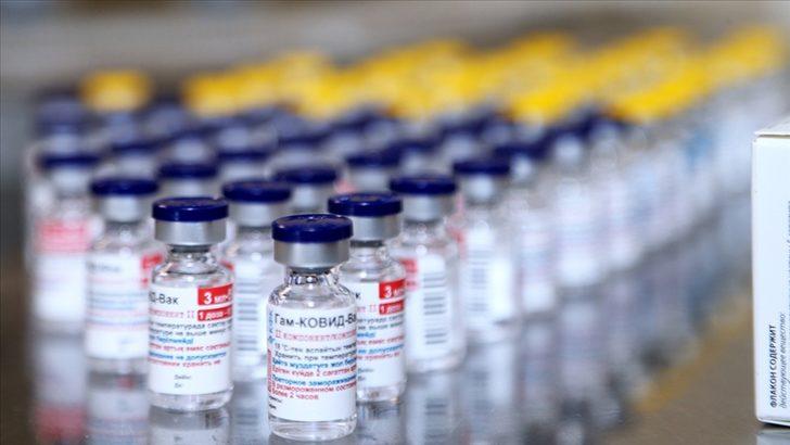 Çekya, Rusya’dan Covid-19 aşısı istedi