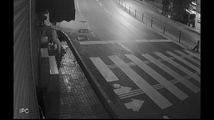 (Özel) Sokak köpeklerinin ’kedi savaşı’ vatandaşı isyan ettirdi G2