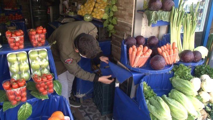 (Özel) Sokak köpeklerinin ’kedi savaşı’ vatandaşı isyan ettirdi G5