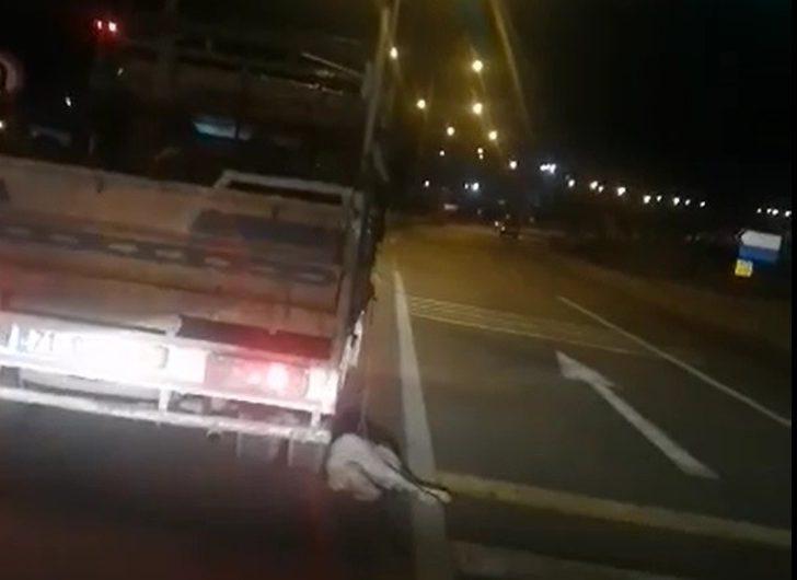 Kamyonetin arkasına bağladığı köpeği kilometrelerce sürükledi G1