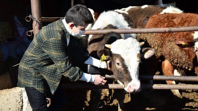 Dedesinin hediye ettiği civcivlerden 221 hayvanlık çiftliğe ulaştı