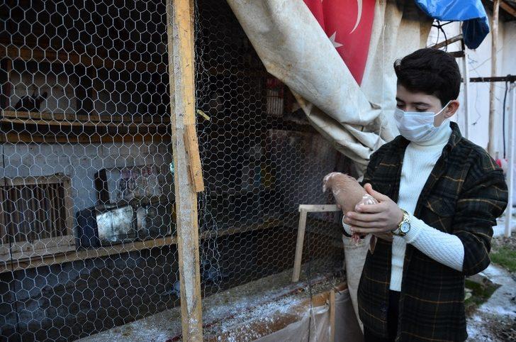 Dedesinin hediye ettiği civcivlerden 221 hayvanlık çiftliğe ulaştı G3