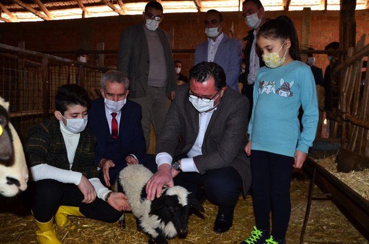 Dedesinin hediye ettiği civcivlerden 221 hayvanlık çiftliğe ulaştı G5