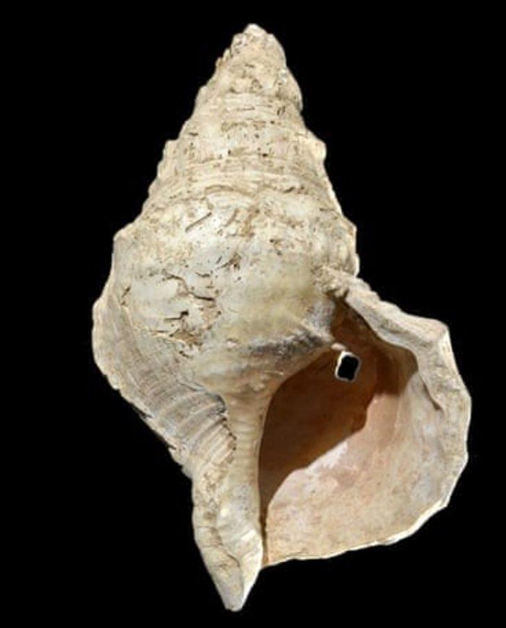 Fransa’da 17 bin yıllık müzik aleti olan deniz kabuğu yeniden ses verdi G4