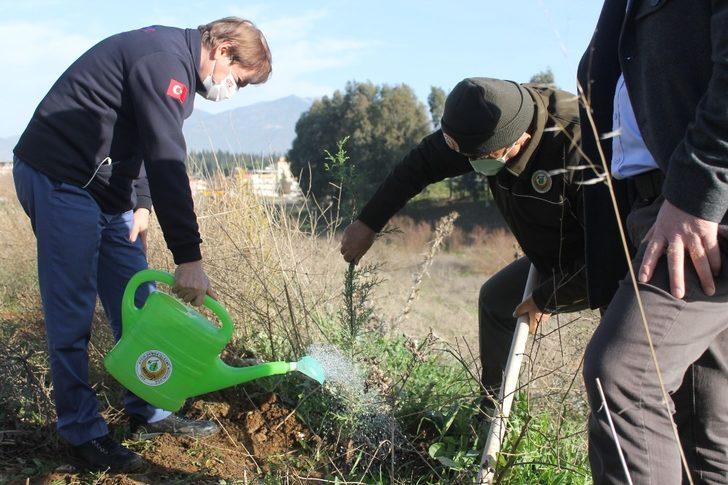 Aydın’da, 112 fidan toprakla buluştu G1