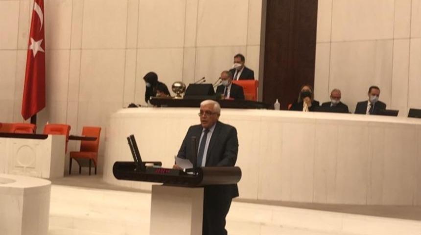 Milletvekili D&uuml;lger TBMM konuştu