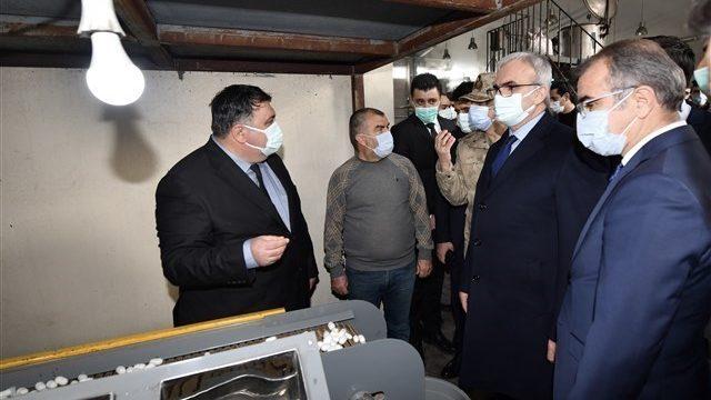 İpek kozasının yüzde 60’ı Kulp’ta üretiliyor