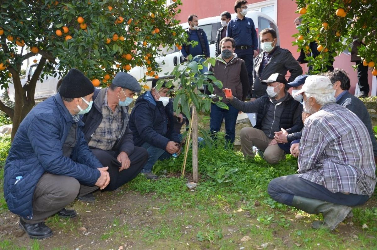 B&uuml;y&uuml;kşehir Belediyesinden  Alanyalı &ccedil;ift&ccedil;ilere uygulamalı eğitim