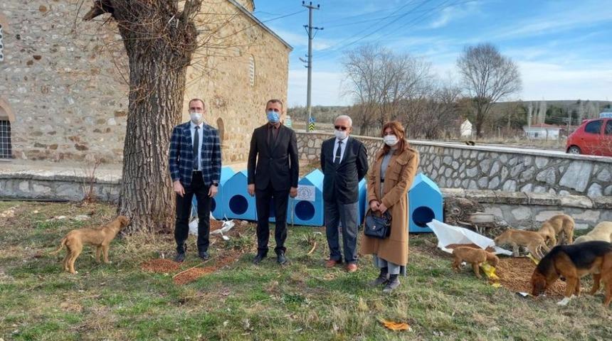 Evcil hayvanlara kulübe ve mama desteği