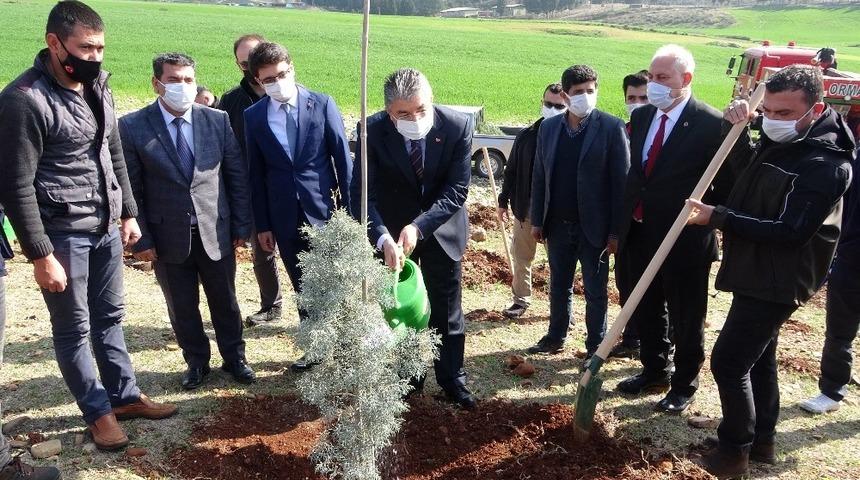 Osmaniye&rsquo;de 112 fidan toprakla buluştu