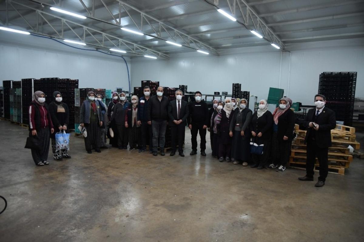 Rusya ve Libya&rsquo;nın Elması Yahyalı&rsquo;dan