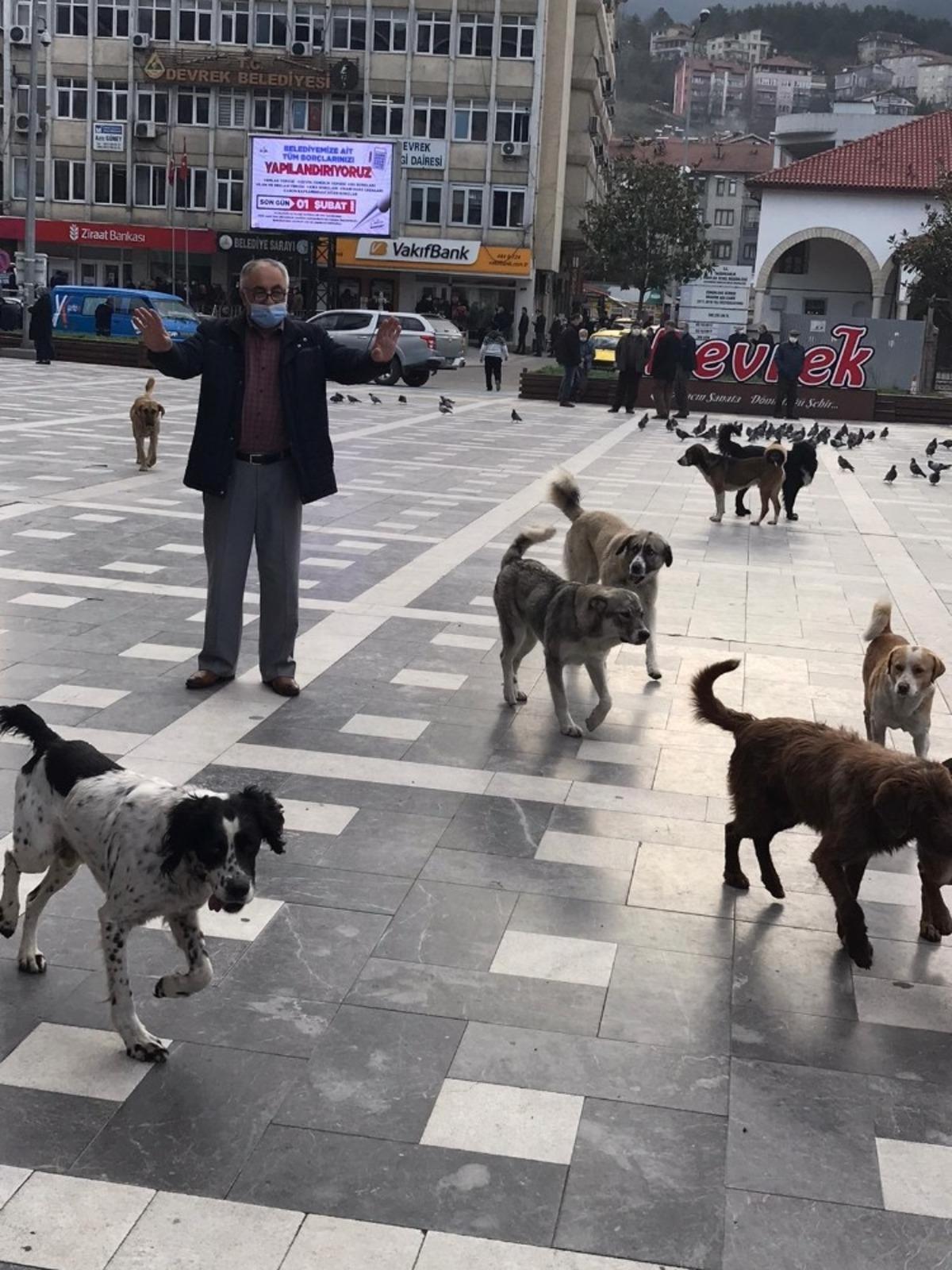 Devrek&rsquo;te gazete dağıtıcısına başıboş k&ouml;pekler saldırdı