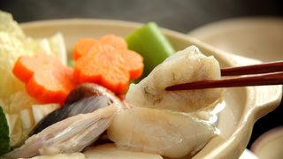 Balon balığı uyarısı: Siyanürden daha zehirli! 