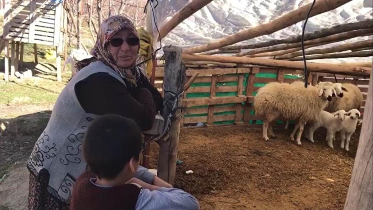 Konya&rsquo;da şehit annesinin koyunları &ccedil;alındı