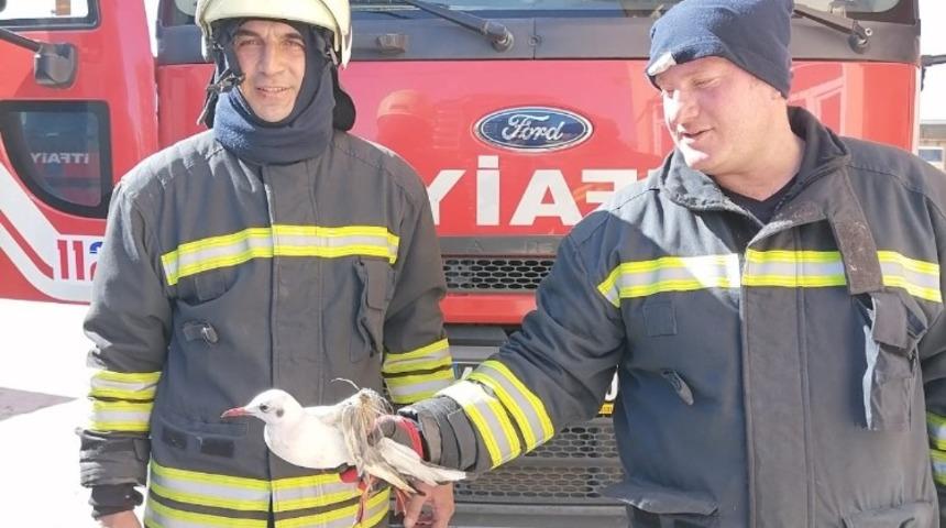 Kanala d&uuml;şen yaralı martıyı itfaiye kurtardı