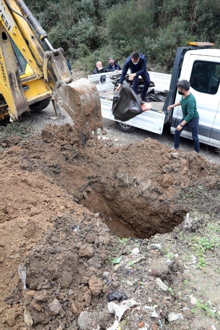 Çiftlikte kaçak kesim yapan çifte ceza yağdı G4