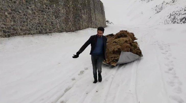 Ot taşıma esnasında yığınlarının devrilmesi sonucu 1 kişi yaralandı G2