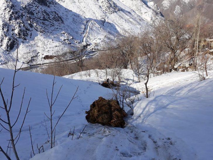 Ot taşıma esnasında yığınlarının devrilmesi sonucu 1 kişi yaralandı G3