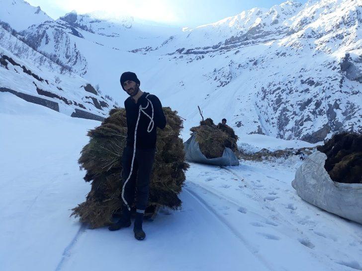 Ot taşıma esnasında yığınlarının devrilmesi sonucu 1 kişi yaralandı G4