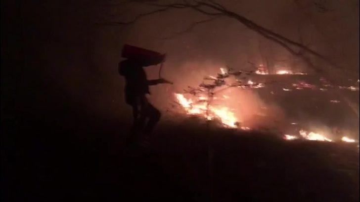 Düzce’de orman yangını G1