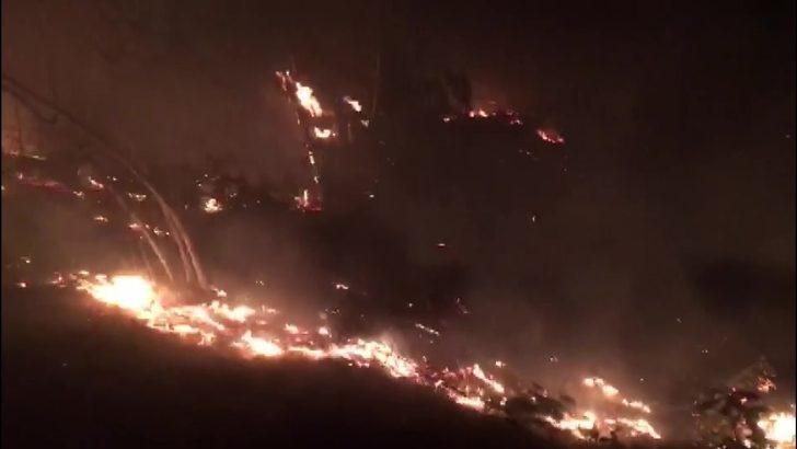 Düzce’de orman yangını G2