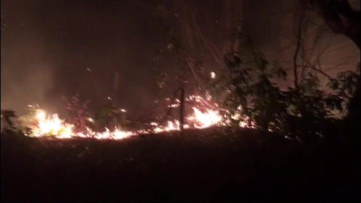 Düzce’de orman yangını G3