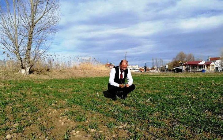 Kütahya’da hububat ekili alanlarda gelişim gözlenmesi yapıldı G1