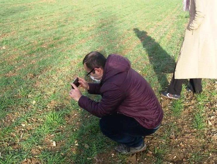 Kütahya’da hububat ekili alanlarda gelişim gözlenmesi yapıldı G4