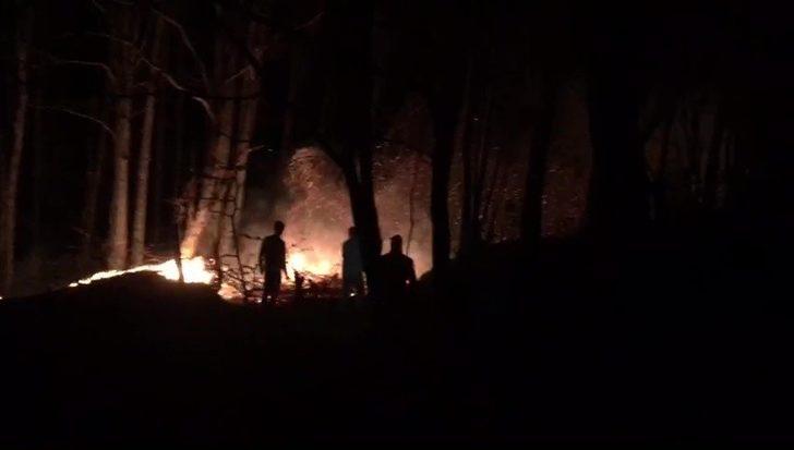 Düzce’deki orman yangını kontrol altına alındı G1